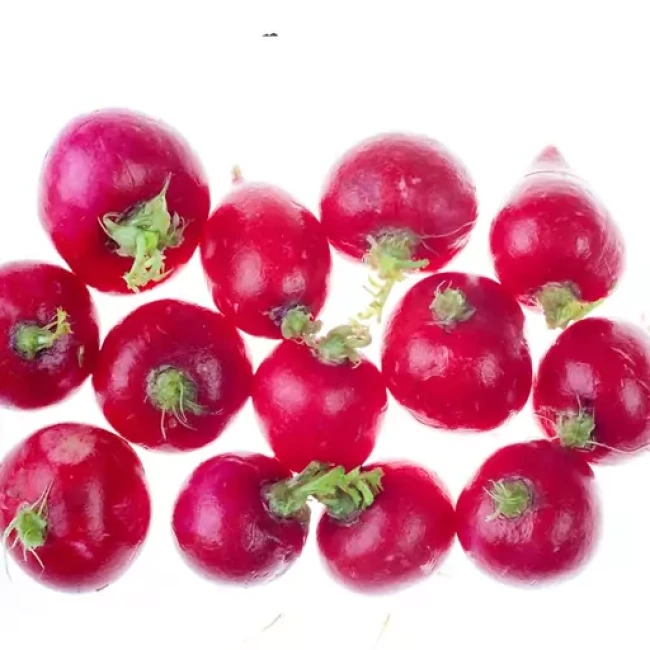 بذر تربچه کامت 20 گرم
