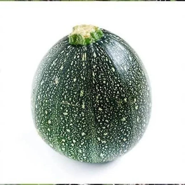 بذر کدو خورشتی گرد سبز 10 عددی