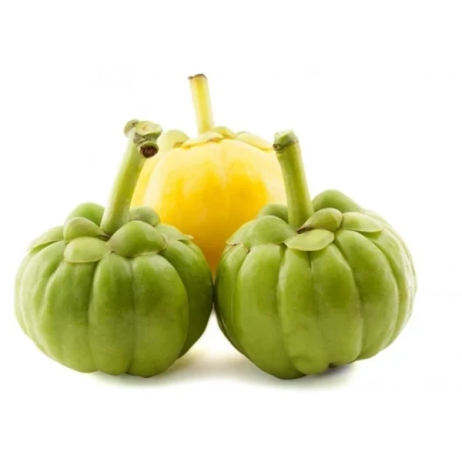 بذر گارسینیا کامبوجیا 1 عددی 