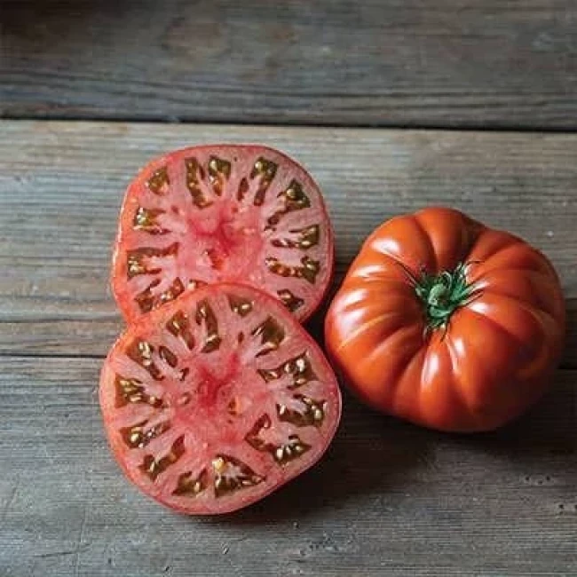 بذر گوجه فرنگی شرابی بوته ای 25 عددی