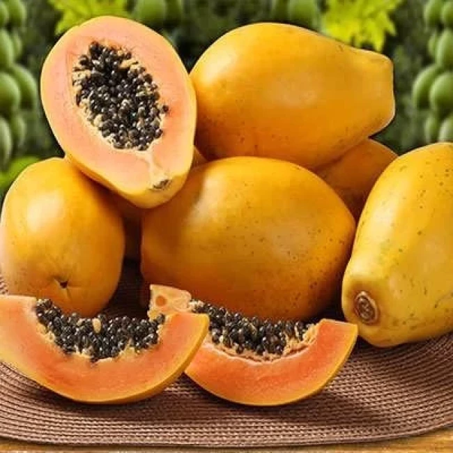 بذر پاپایا گلابی 3 عددی