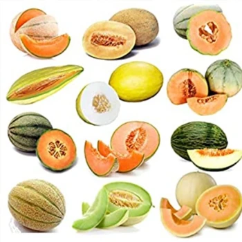 بذر طالبی میکس 20 عددی 