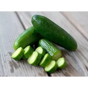 بذر خیار بیت آلفا 20 عددی 