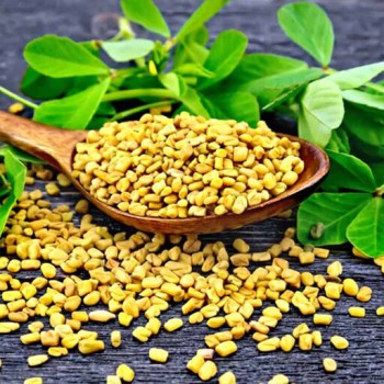 بذر شنبلیله یونانی 2 گرم 