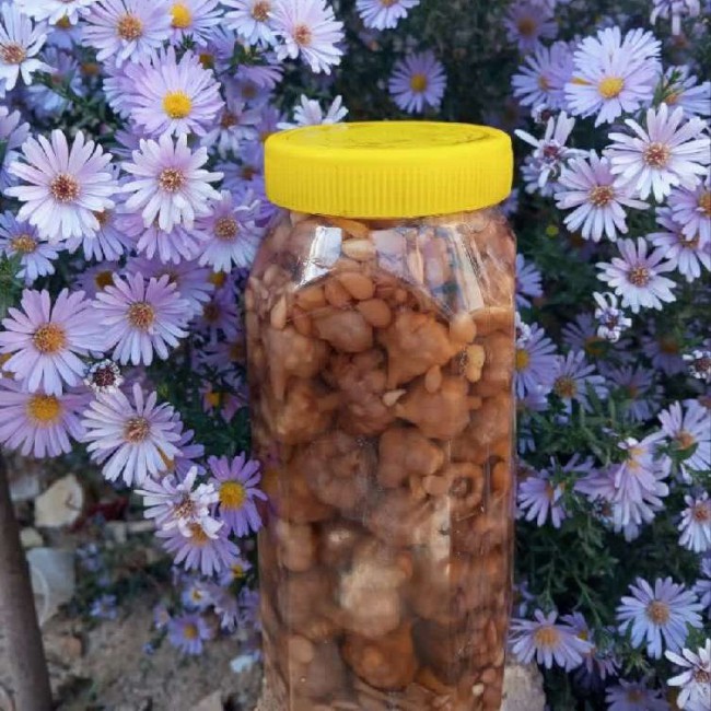 ترشی گل سیر همدان (۷۵۰گرم)