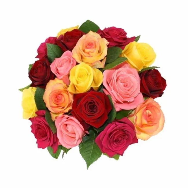 بذر گل رز میکس 5 عددی 