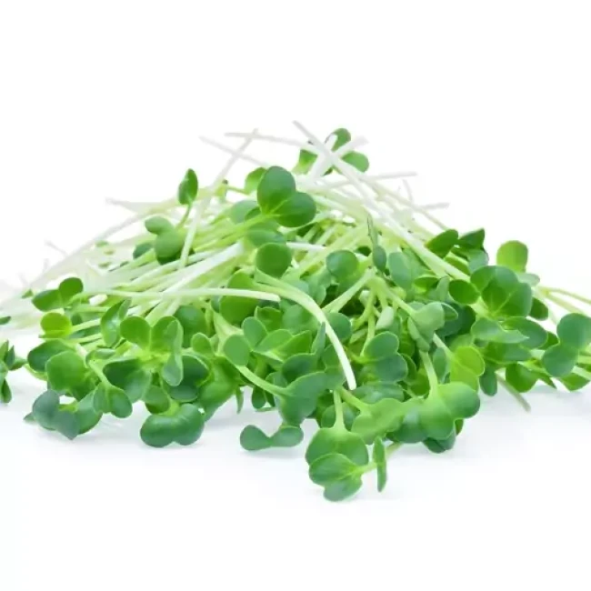 بذر یونجه 10 گرم 