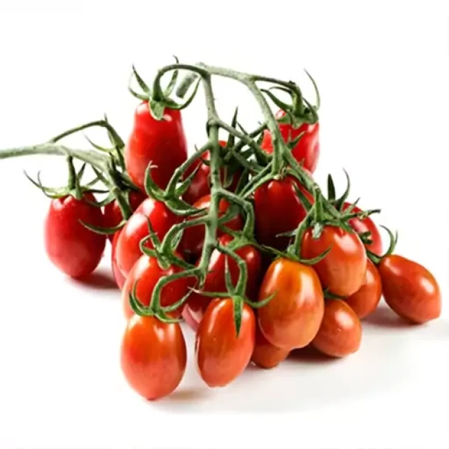 بذر گوجه فرنگی خوشه ای داترینو 20 عددی 