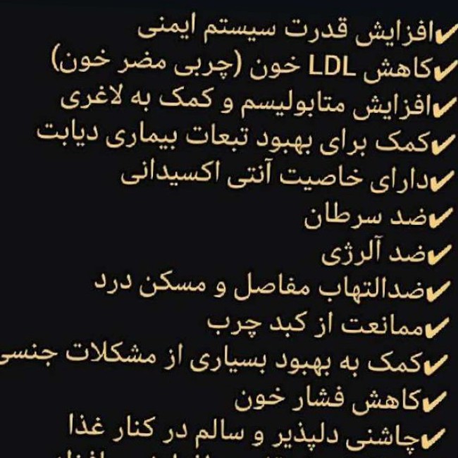 سیر سیاه سیرستون ۵عدد قوطی ۲۰۰ گرمی