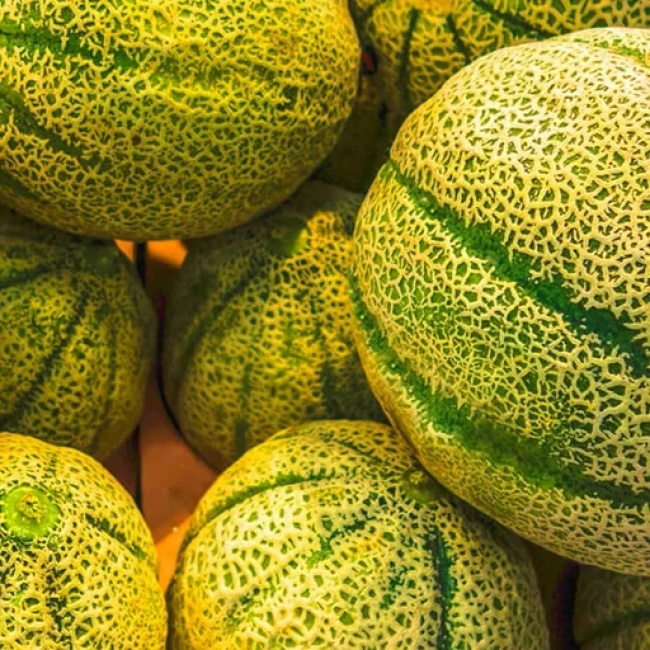 بذر خربزه سبز علم دار 20 عددی 