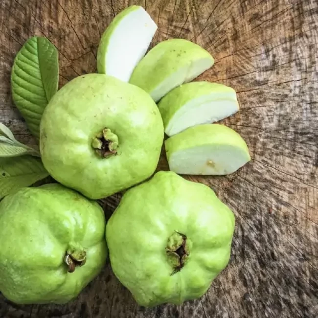 بذر گواوا سیبی زرد معطر داخل سفید 10 عددی 
