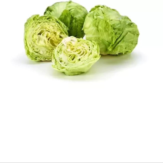 بذر کاهو پیچ 1 گرم 