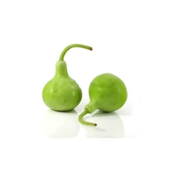 بذر کدو بمبی  5 عددی 