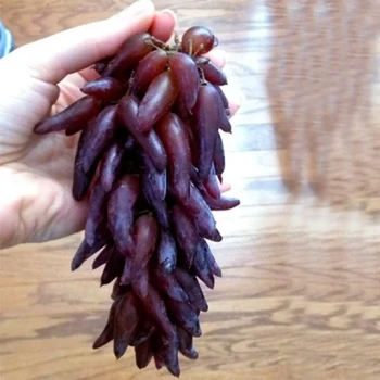 بذر انگور انگشتی 5 عددی 