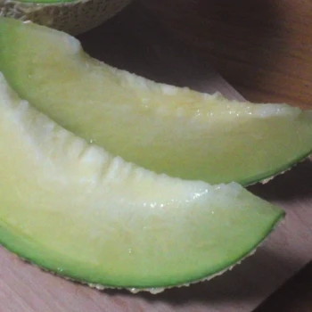 بذر طالبی 20 عددی 