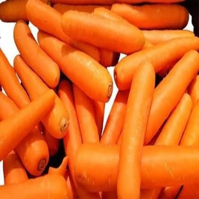 بذر هویج مخروطی 2 گرمی