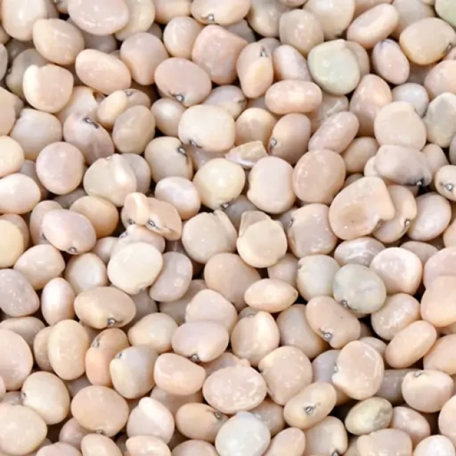 بذر گوار 1 گرمی
