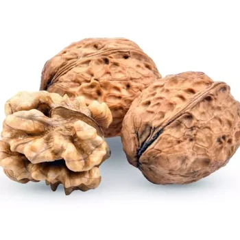 بذر گردو خوشه ای 3 عددی