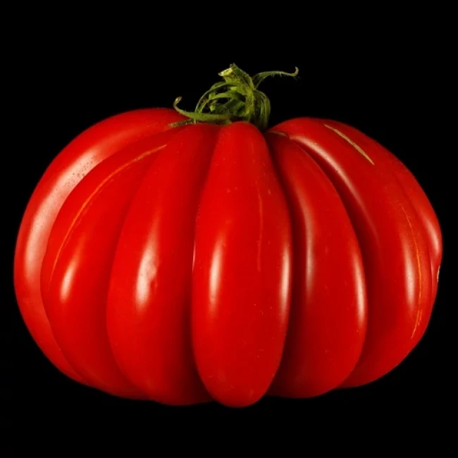 بذر گوجه فرنگی گزاهنته 10 عددی 