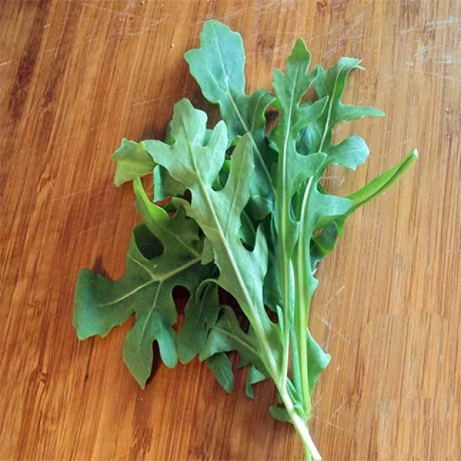 بذر راکولا باغی (سالادی) 100 عددی 