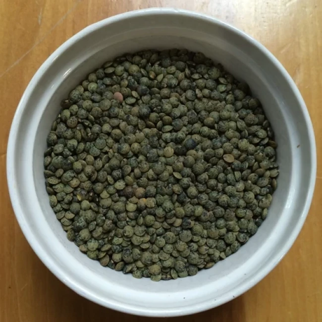بذر عدس آبی 20 عددی 