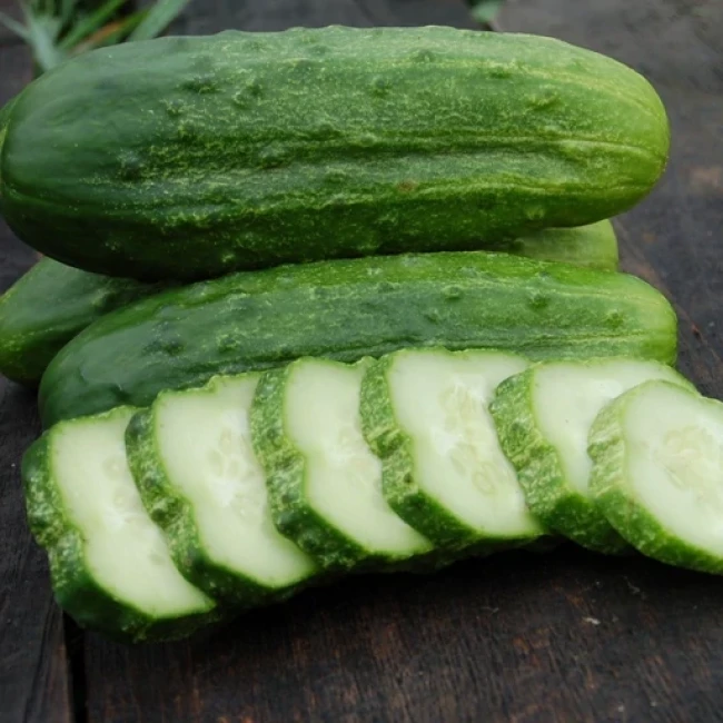 بذر خیار ترشی شمالی 10 عددی 