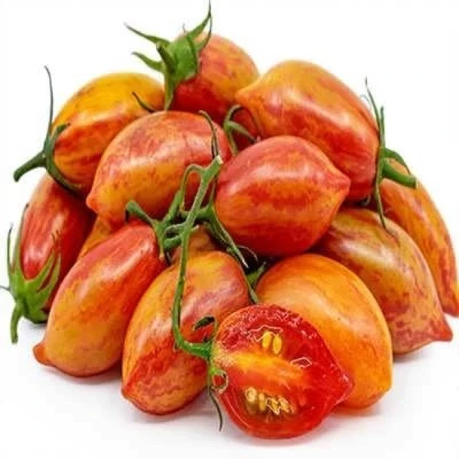 بذر گوجه زیتونی ببری قرمز درختی 25 عددی