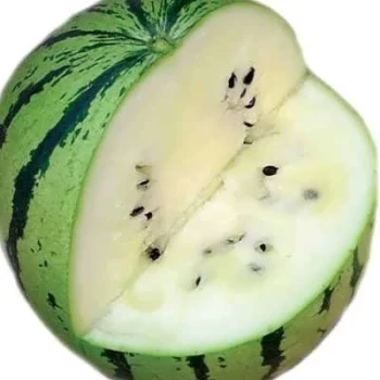 بذر هندوانه سفید 10 عددی