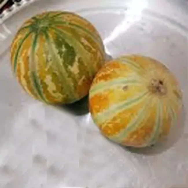 بذر گرمک 1 گرم 