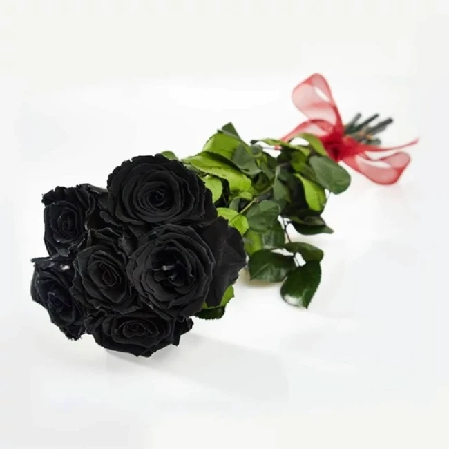 بذر گل رز مشکی 5 عددی