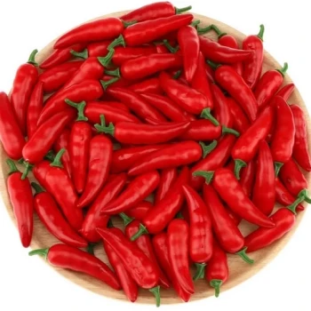 بذر فلفل مینیاتوری قرمز 10 عددی 