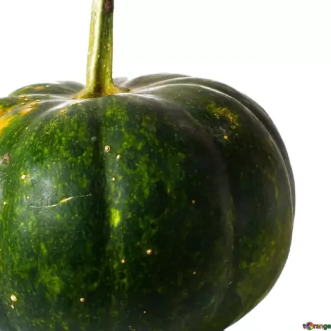 بذر کدو تنبل سبز 5 عددی 