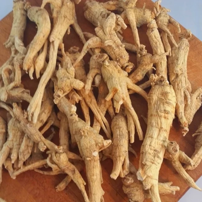 بذر جینسینگ آمریکایی 5 عددی 