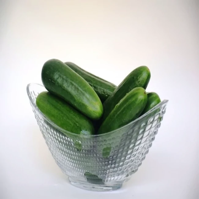 بذر خیار جالیز اصفهان (غیر درختی) 20 عددی 