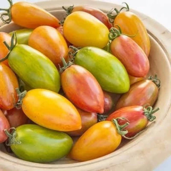 بذر گوجه زیتونی ببری میکس 25 عددی