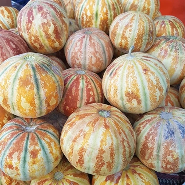 بذر طالبی شاهپسند 20 عددی 