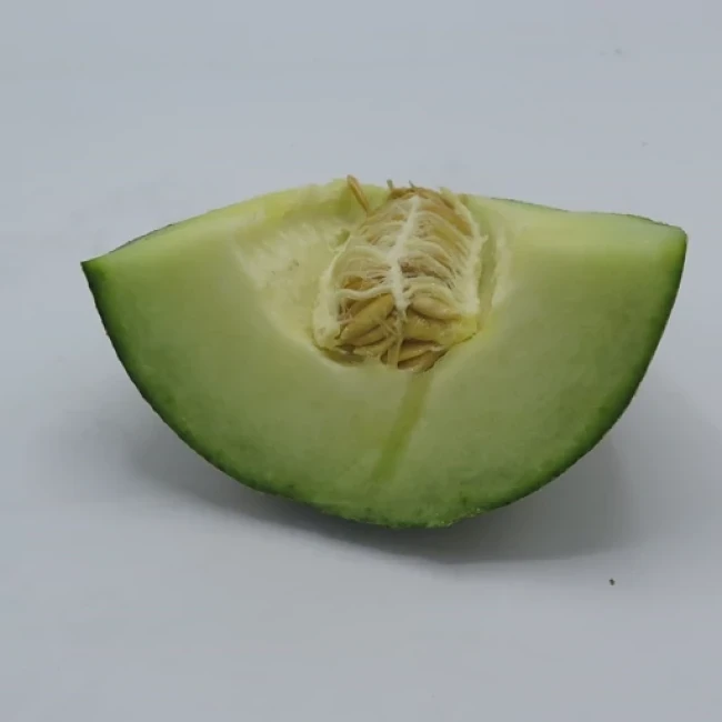 بذر خربزه سوسکی گرمساری 20 عددی 