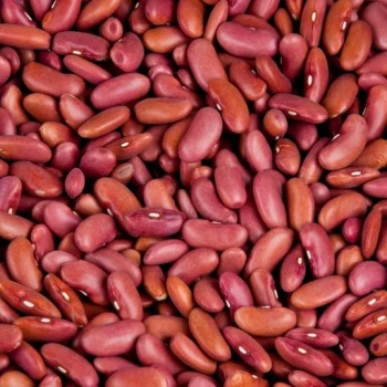 بذر لوبیا کپسولی 20 عددی 