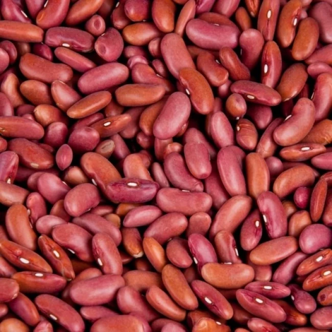 بذر لوبیا کپسولی 20 عددی 
