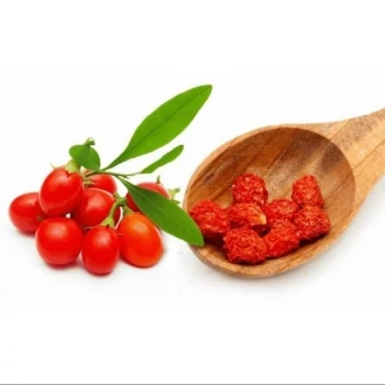 بذر گوجی بری قرمز 10 عددی 