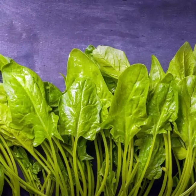 بذر اسفناج بی تیغ 20 گرمی
