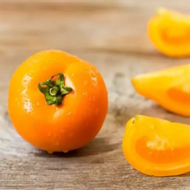 بذر گوجه فرنگی سان ری 10 عددی 