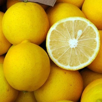 بذر لیمو شیرین 10 عددی 
