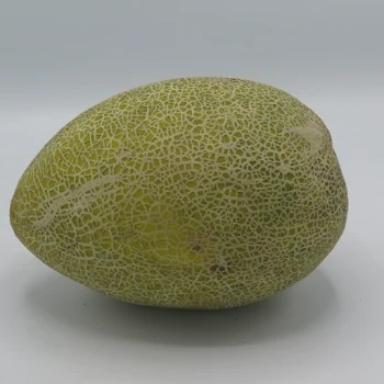 بذر خربزه سوسکی گرمساری 20 عددی 
