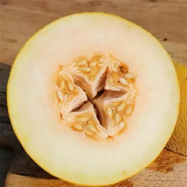 بذر خربزه آناناسی 20 عددی 