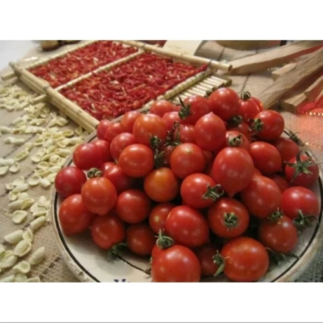 بذر گوجه گیلاسی قرمز فیاسچتو 20 عددی 