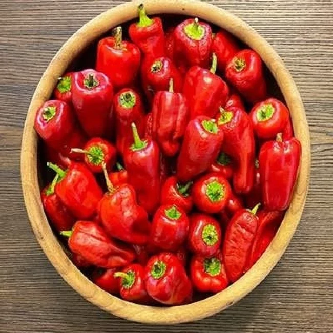 بذر فلفل پاپریکا قرمز 25 عددی