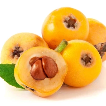 بذر درخت ازگیل ژاپنی  5 عددی 