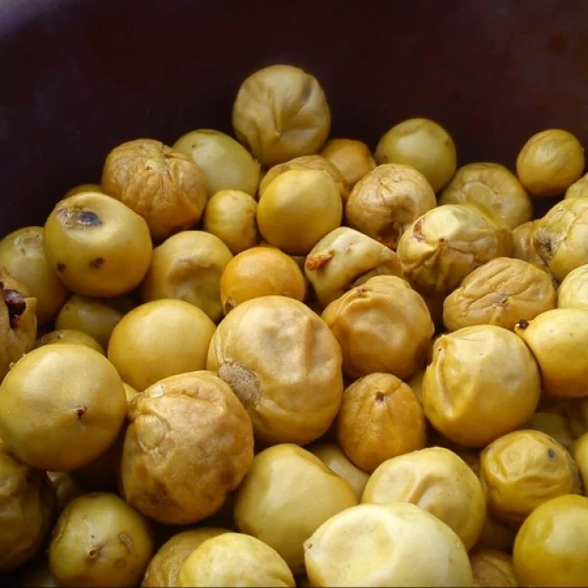 بذر ازگیل جنگلی 20 عددی 