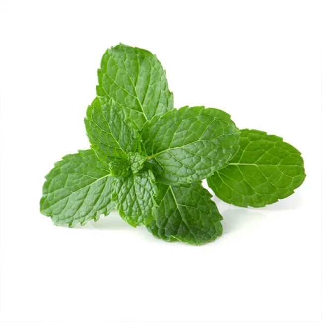 بذر نعنا 50 عددی